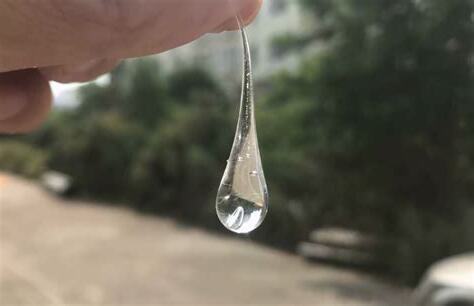 魯伯特之淚 歌詞